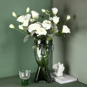 1buc Nordic Fata 3D Transparent Hidroponice Vaza de Sticla Living Decor Modern Vaza de Flori Mini Terariu Decor Acasă