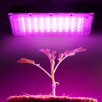 2 buc/lot Planta cu LED-uri Cresc Light Lampa de 50W 220V Spectru Complet Instalație cu efect de Seră Hidroponică a Plantelor lumina Reflectoarelor cu LED-Instalație Nocturnă
